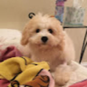 Meet your Posher, Erika